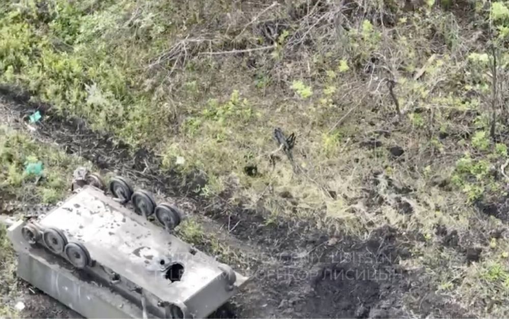 ������� �������: ������������ ��� �113 ������������ ����� ������� � ��������������� �����