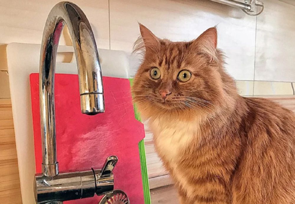 Без воды из-за аварийных работ остались жители части Луганска 6 сентября