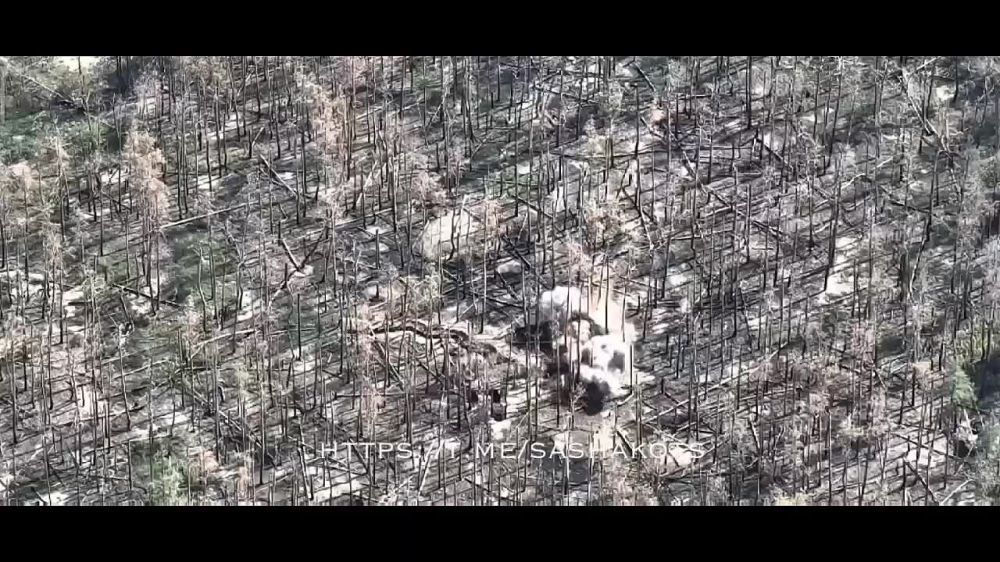 ��������� ���: ������� �� ������ ����� � �������� ��������� ������ � ���� ������� ����������