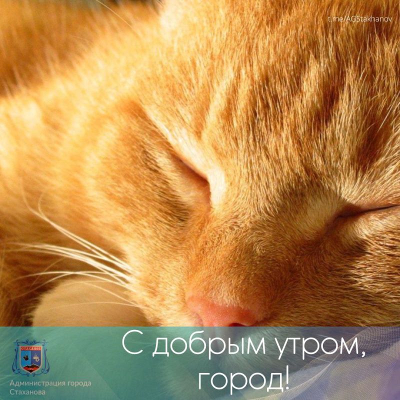 ����� ������ ����� ����!. � ������ �����, ��������
