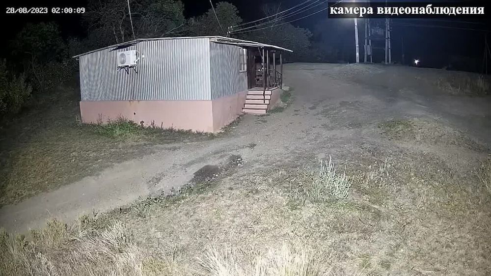 В Луганской Народной Республике полицейские раскрыли ночную кражу из магазина в г. Миусинске