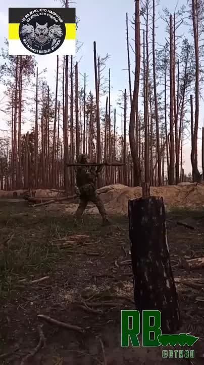 �������� "����� �����" �� ����������� '�������� "����� ����� �� �������� ���