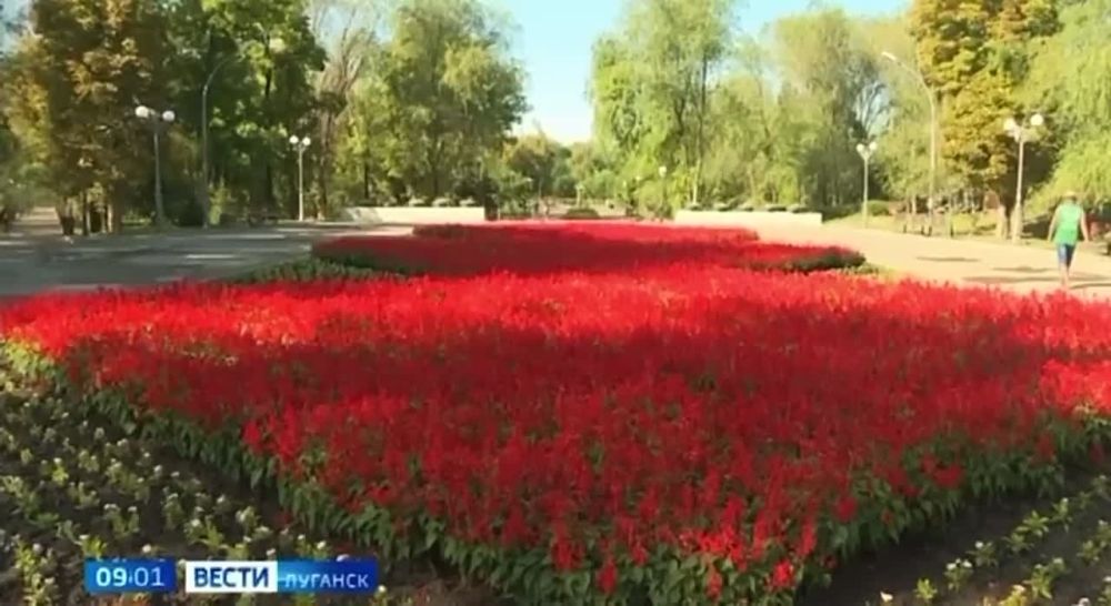 ������ ��������: ������� ������� ����� � ���� ��������� ������ �����