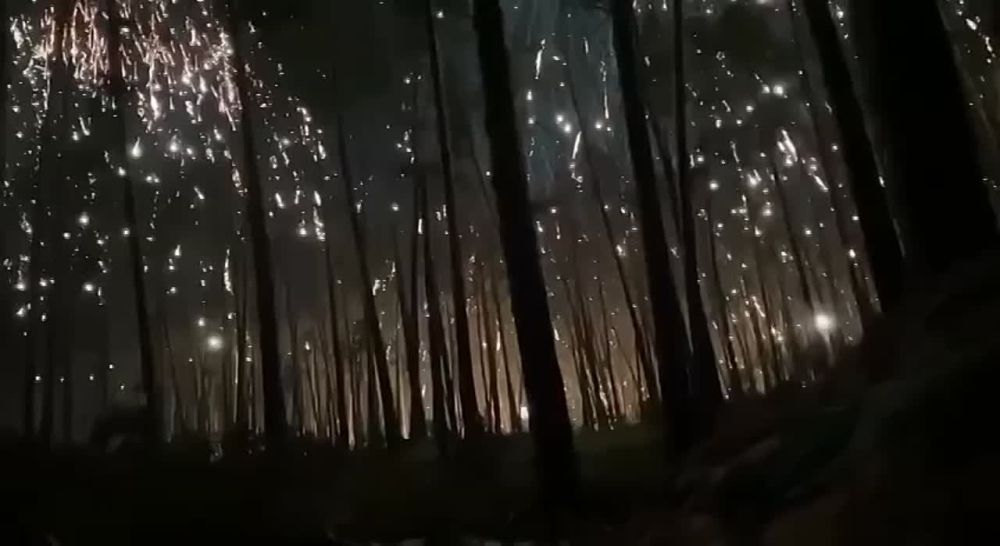 ����� �� �������� �� ��� �������������� ��������� � ������ ����� �� ��������� �����������