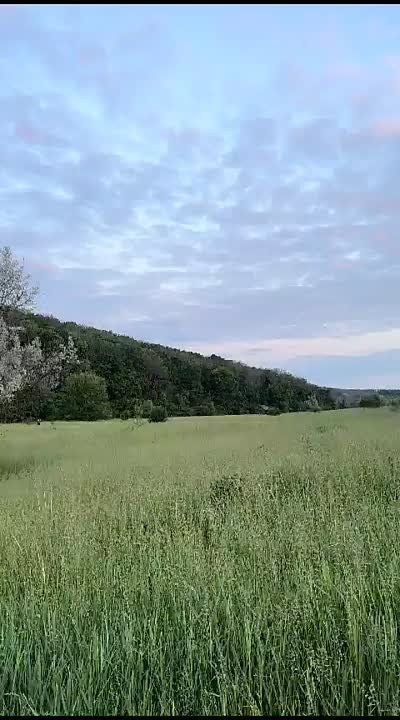 �������-���������, �� ����