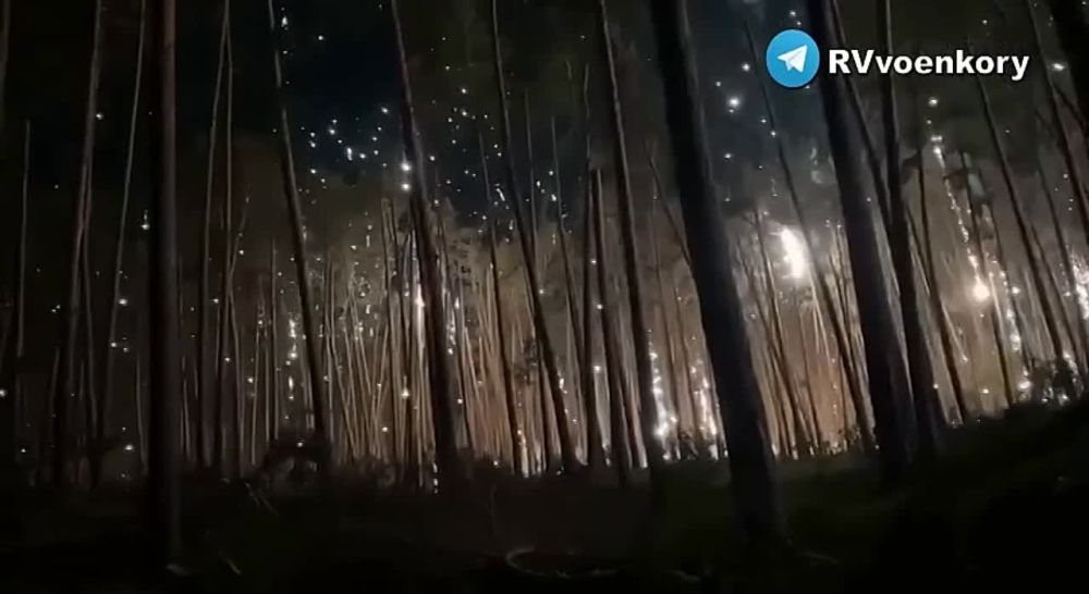 �������� "����" �� ������ �������� ��� � ����� ���������