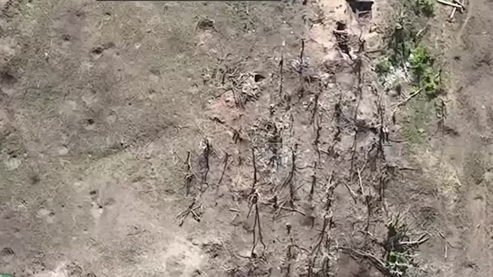 �������� FPV-����� �������� �����һ ������� ������� ��� � ������ �������� � ������ ���������