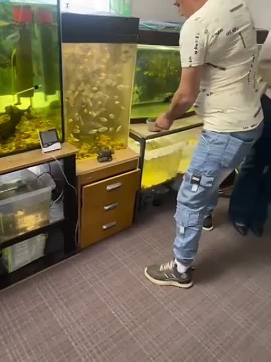 ��������� �������: � ��������� ��� ������ ����� ������ �� ����� � ������� � ��������� ������ ���, ��� ��� �������� �����