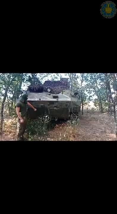 ������ �������: ������� ���������� ����� � �����