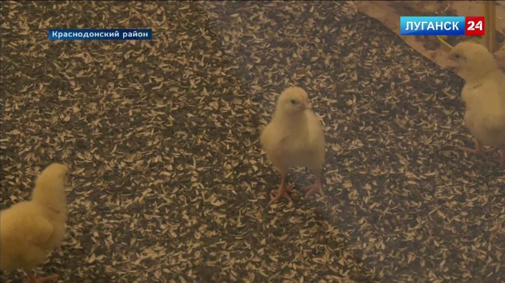 �������� ������������, ������� ���������� �������� � ���������� ��������� � ��� ��� ���������� ��������� ��������� �������������� �� ���������� ����������