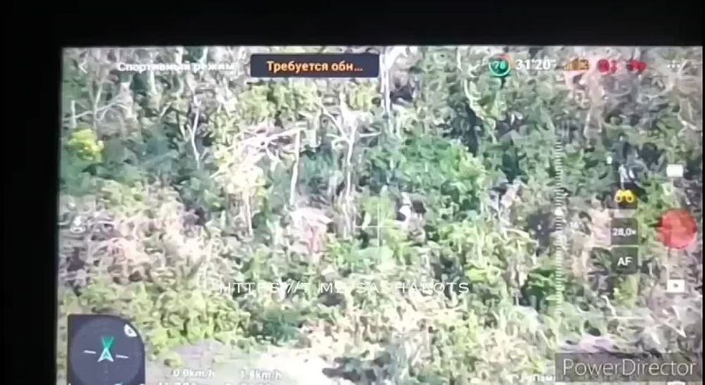 ����� �����: ����������� ������ 120-�� �������� ���-�� ��� ��������� - ����� ������ ����������