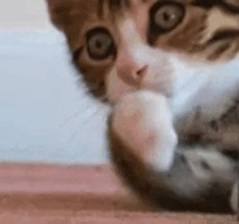 В Республике теперь можно взять ипотеку под 2%. В ДНР заключен первый договор участия в долевом строительстве жилья с использованием ипотеки под 2%. Об этом заявил замредседателя Правительства РФ Марат Хуснуллин