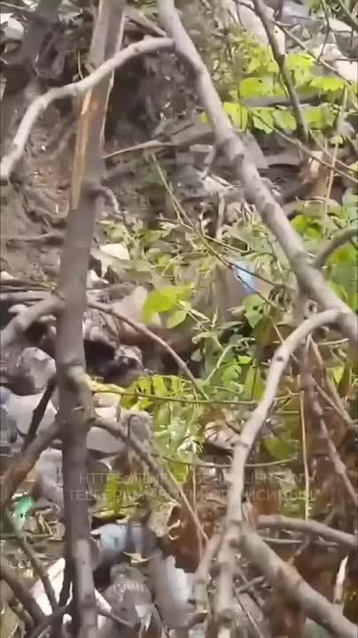 ������� �������: ���������� ����� �������� ������ ������������ � ���������