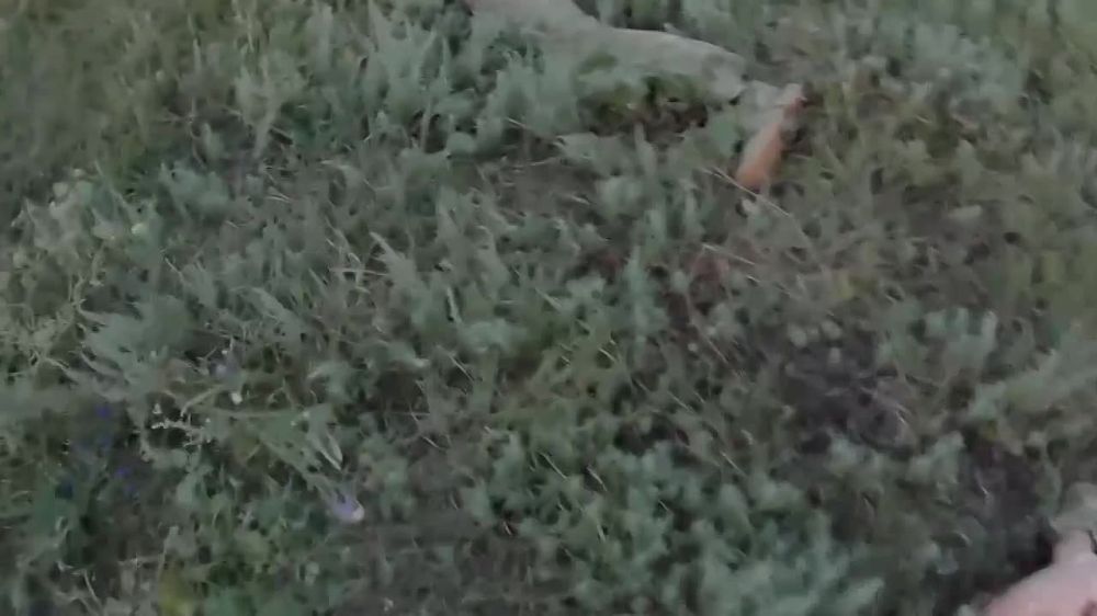 ������� ���������: � ���� ��������� ����� ����� � ���� ������ ���������� ��������������