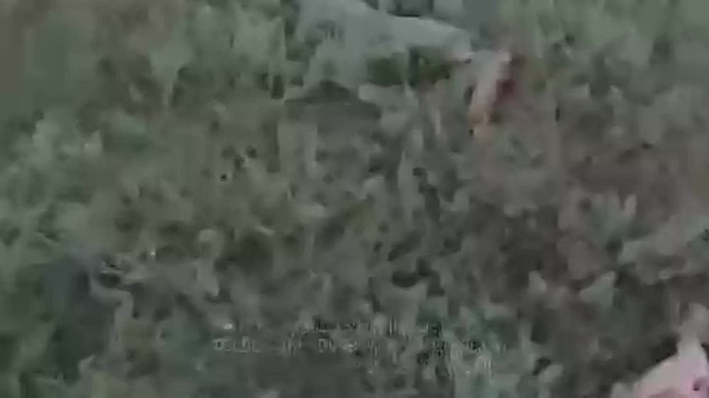 ������� �������: ���� ����� � ������ ��������� ����� � ���� ������ ���-������