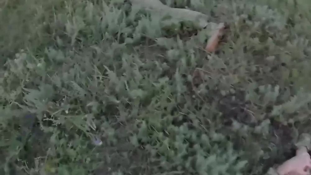 ��� ��� ���������: � ���� ������� ������ ���������� ������