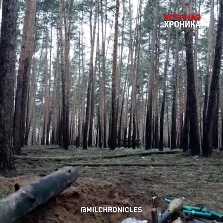 �׸, ����������, �� �**? �������, �� ������-������ ������, �**���
