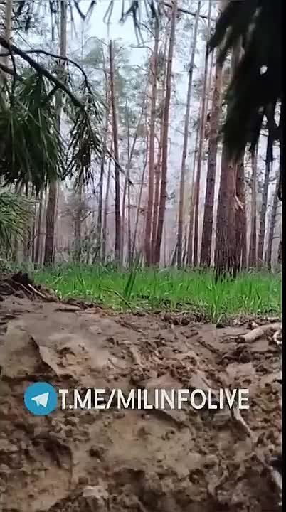 ��� � ����� ��������� ���������� �� ������������� ������� �� ������������ ��� �������� ��� �� ���������