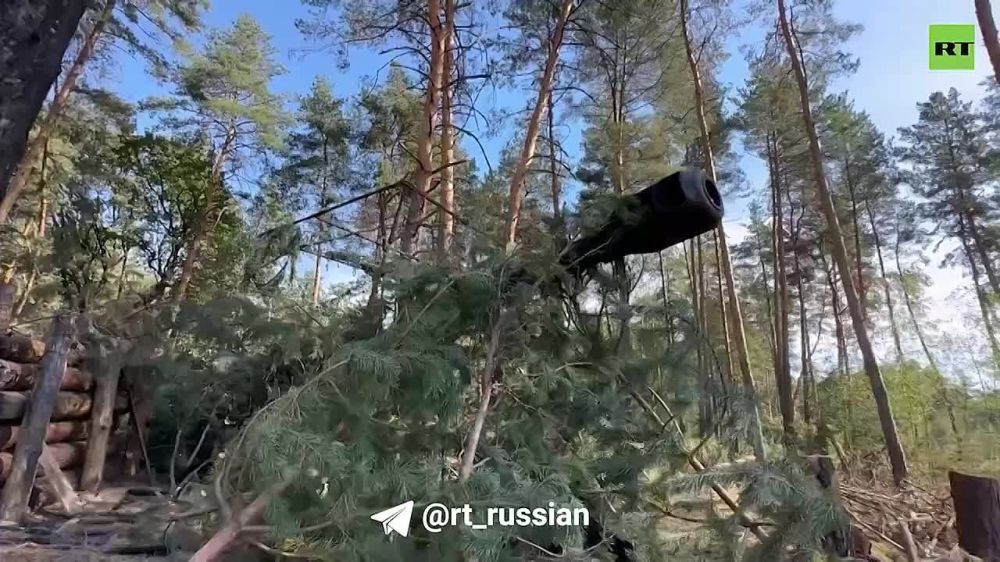 ����� 228-�� ����� ���������� ���������� ��� ��������� � ������� ������, �������� � �������