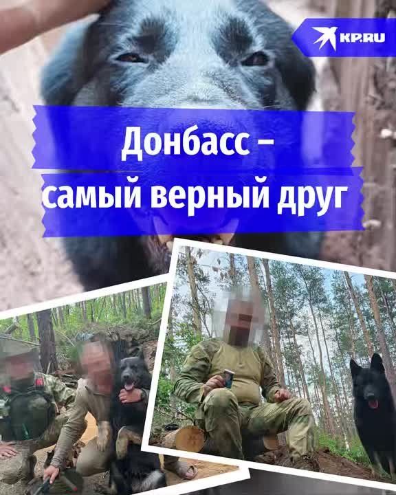 ��� �� ������ ������� ���� ������ �� ���. ������������ ��� ��� ����� ������ ����� ������ ������