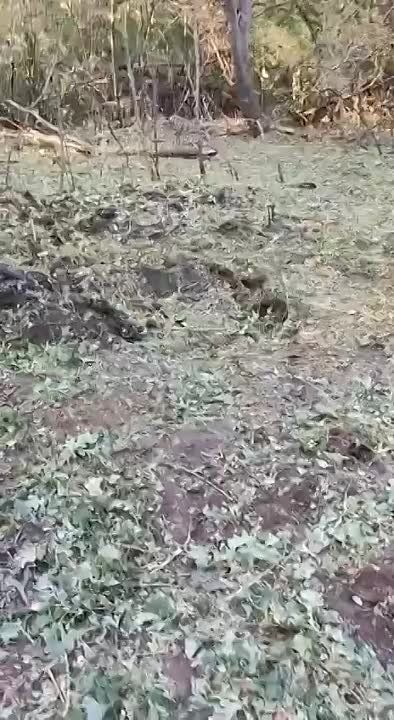 ������ �������: ������������ � ����� ��� ��������� ���������� �������� ���������� ���-66