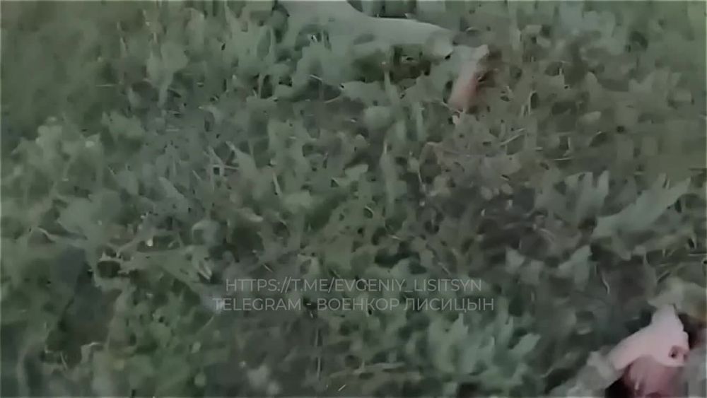 ������� �������: ���� ����� � ������ ��������� ����� � ���� ������ ���-������