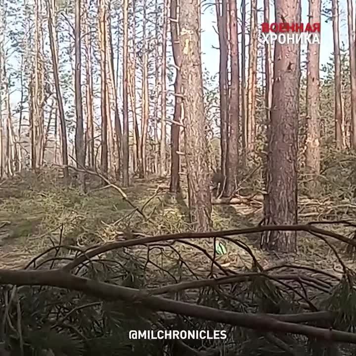 ����� �����: ��������� ������� ������� ��-��� ���������