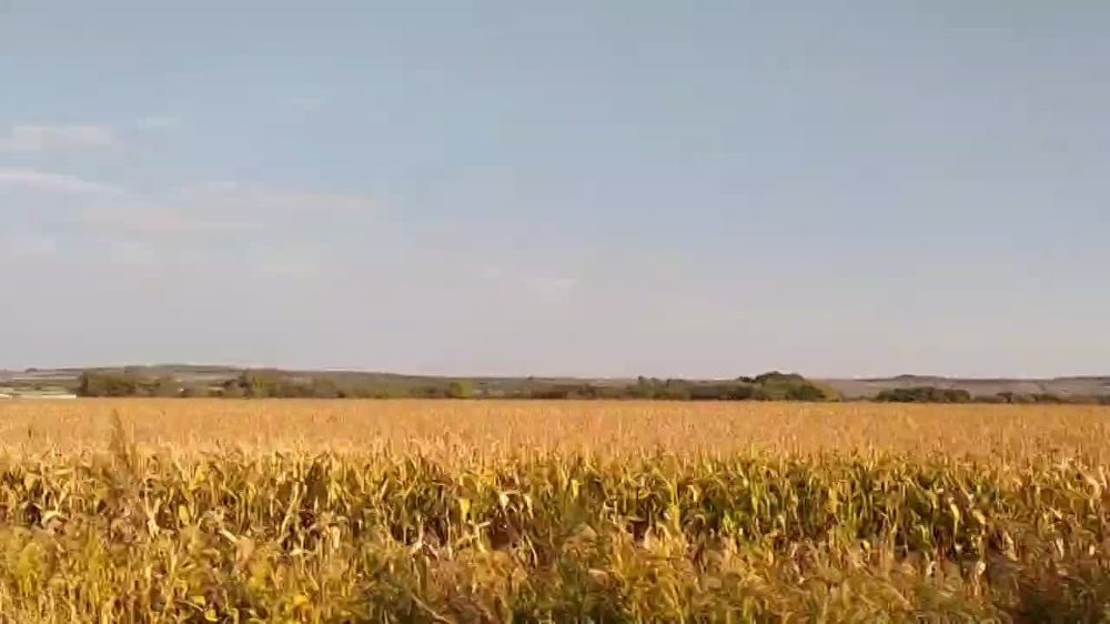 ������� ������� ����. #���_������