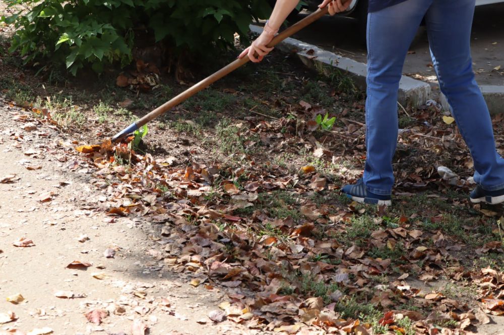 ������� �������: 21 ��������, ������� �� ����� ��������� �����������, ���������� ������������� ������ ����� �� ���������