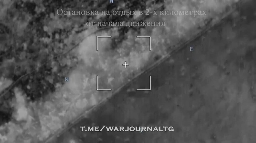 ����� �����: �������� ������ ������ �������� �����������