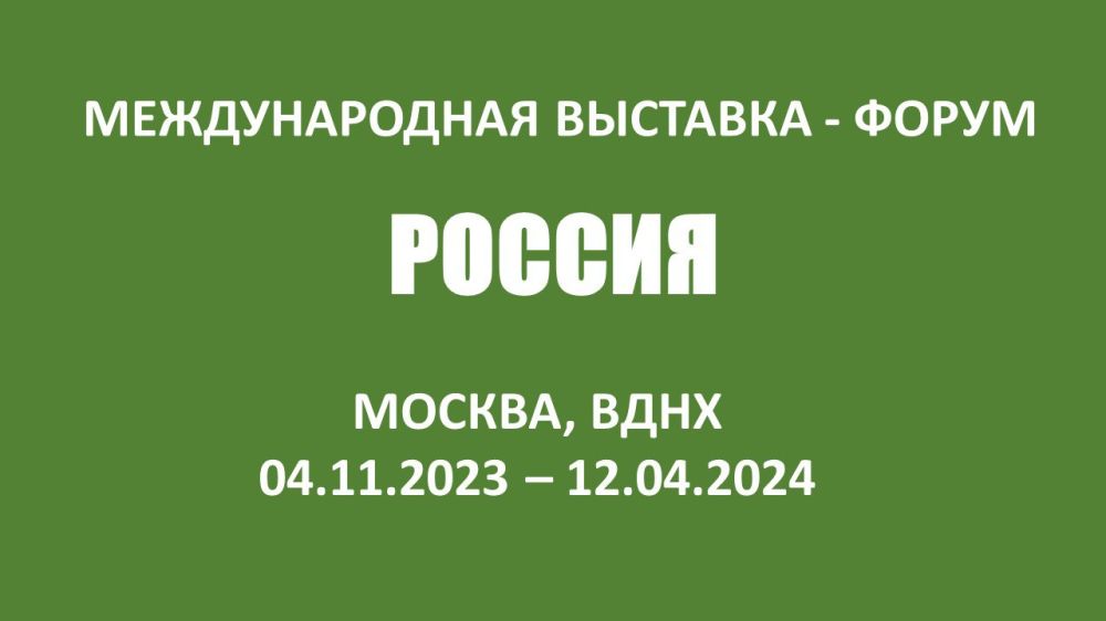 � 4 ������ 2023 ���� �� 12 ������ 2024 ���� � �. ������ ������� ������������� ��������-����� "������