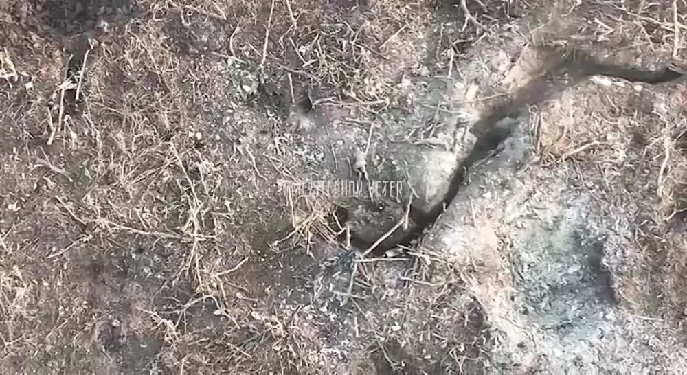 ������� �������: ��������� ����� ������� ������ ����� ���������� �������� � ������ ����������� �� ����������� �����������