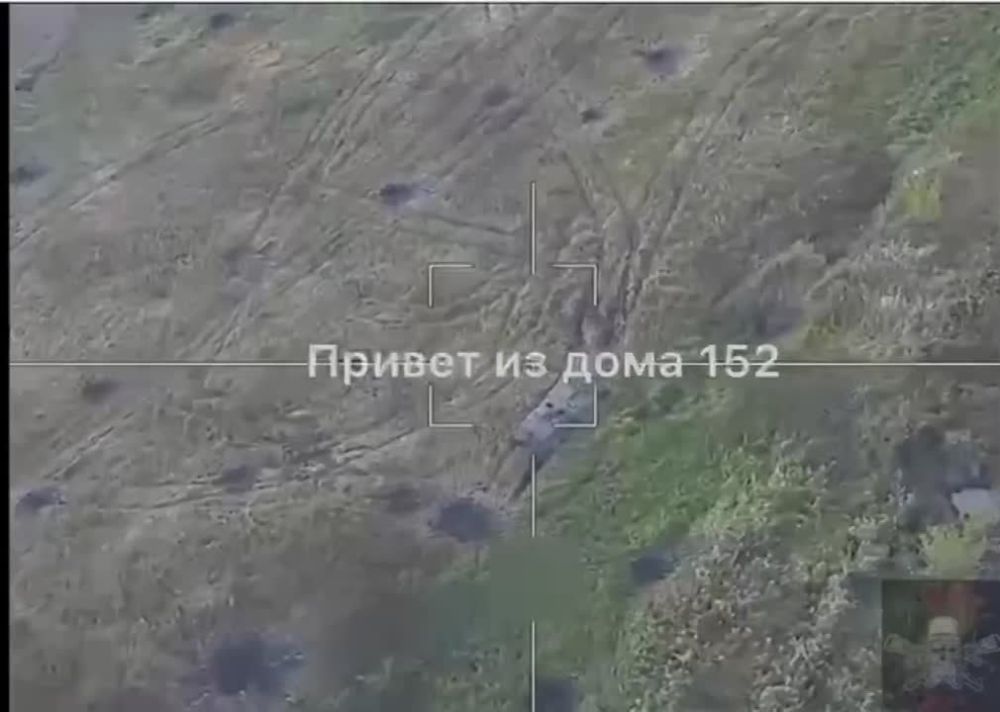 ���� �������: ����� �� ���������� "��������" ��� ������ ����-��������� "������" � ����������� �������-���������