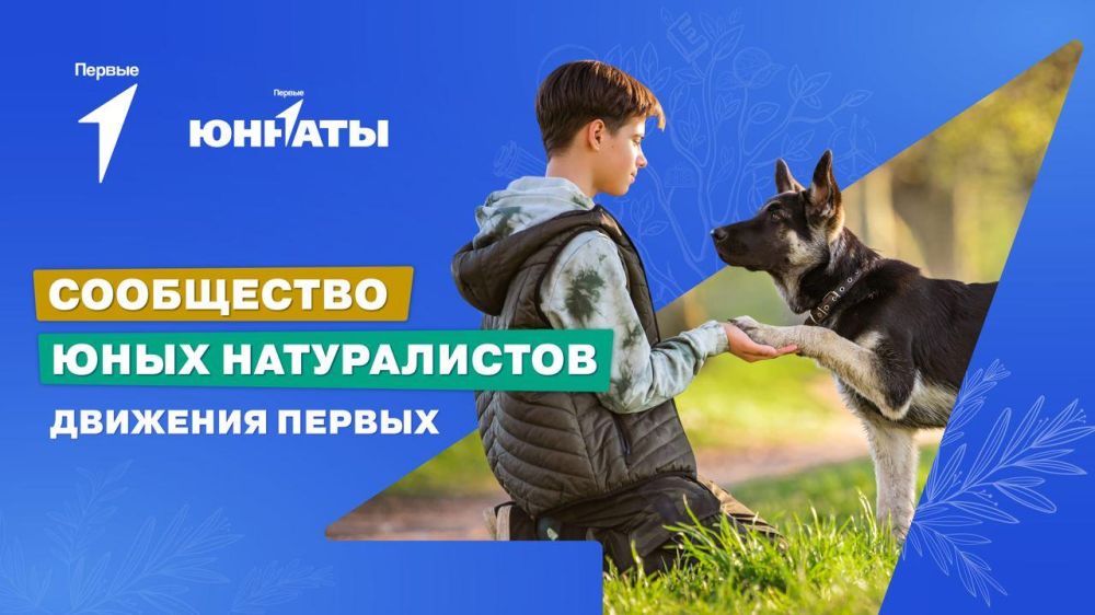 ������ �������� �������?. ������������� � ���. ����� ������ ���������� ���� ������������ �������� ������! ������� ������ �� �����, � �� �������: