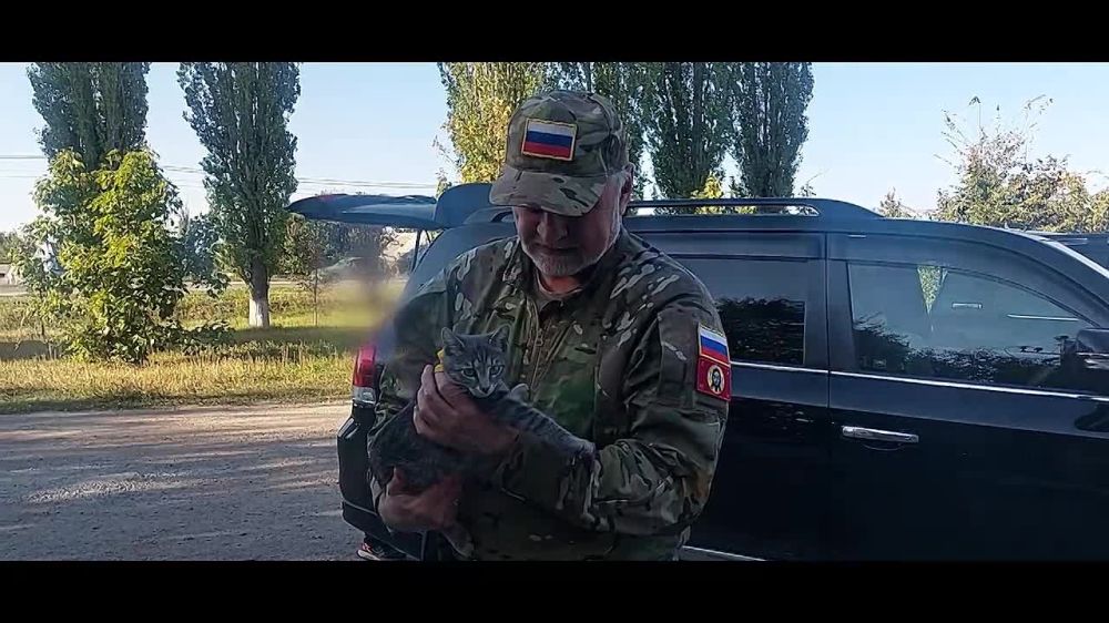 В Ухте ищут возможность вернуть матери погибшего бойца Романа Попова котёнка Симбу