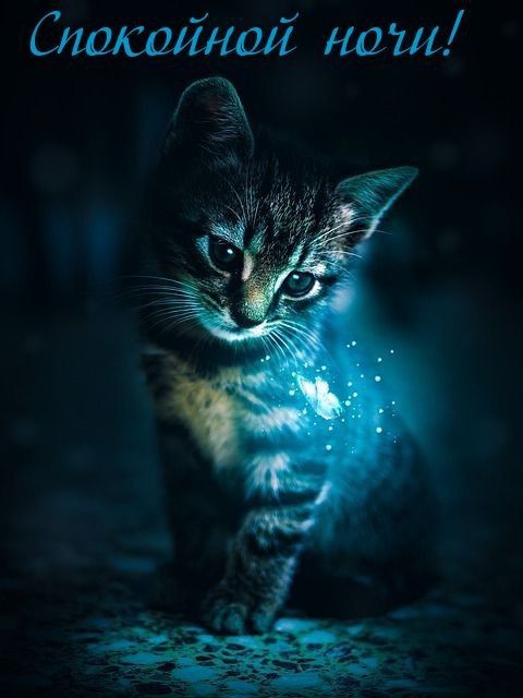 ����� ������ �������� ��� �����, � ���� �������� ����� ������
