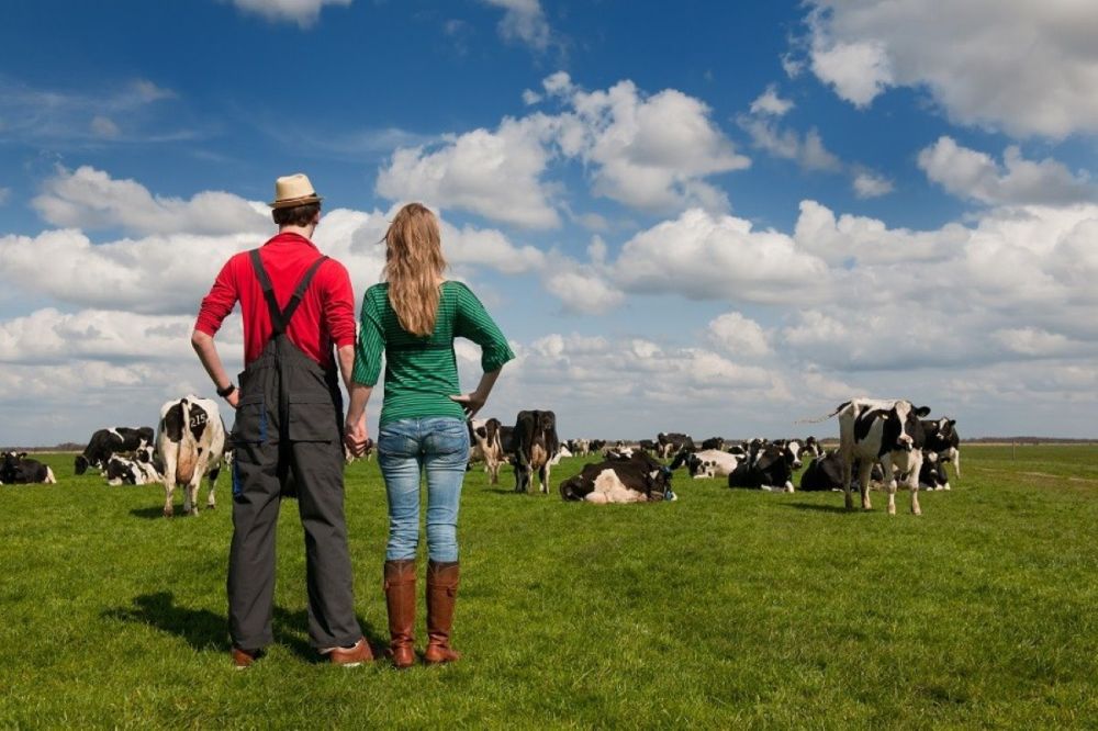 ������� �����: �������� ����� ���� �������������� �� ���� � ����������� ������ ������ ������� �������