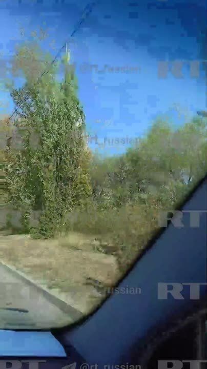 � ���� �������� � ������ ������ � ������ ���������� (���)