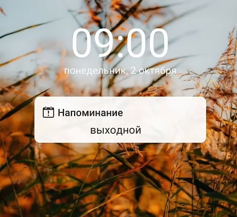 ������� ��� ����������, ��� �������� ����� ����� ��������� �������� ���������� �� 21.01.2023 � ��-51/23 ��� ������������ �� ���������� ��������� �������� ���������� ��������� ����������� ���� 30 �������� �������� ��������� ����������� ����