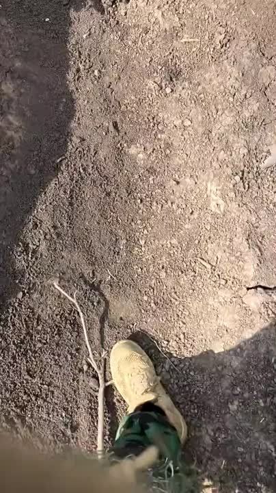 ������ �� �������, ��������� ��������� � ������������ ��������, � ������� ���������� ������� ������� ������ �� ����������� �������