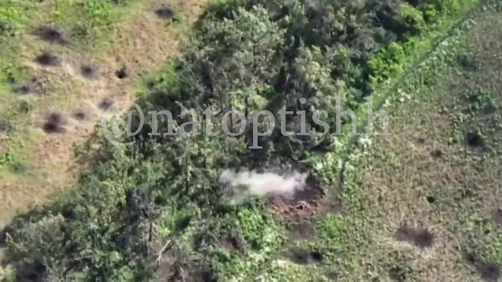 ����� �����: ��������� 1-�� �������� ����� �������� ����������� ����� ������� �������������� ����� ������� ���������� ����������� � ������ �.�. ������������� ���. ���������� 5 �������� ���