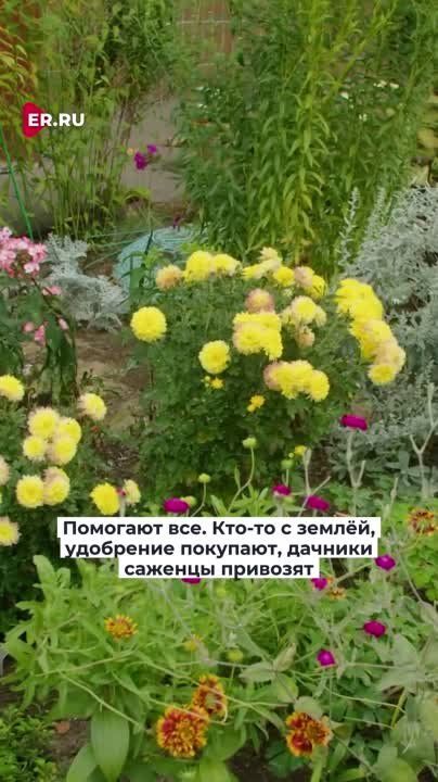 �� 10 ������� ������������ ���� ������ �� ������� � �������� ������� ���. ������ ����, ������� ��������� ������ ������
