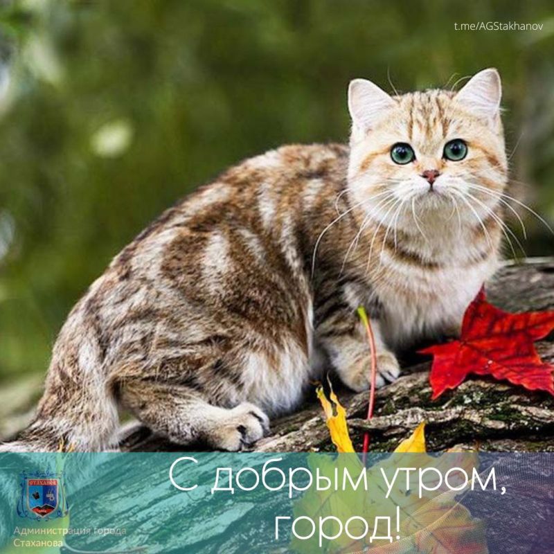 � ������ �����, �����! ����������� ���� ���. �� ��������� ��������� � ������������ ������ �������� ������ ����� #�������� #�������_��������� #������������������� @AGStakhanov