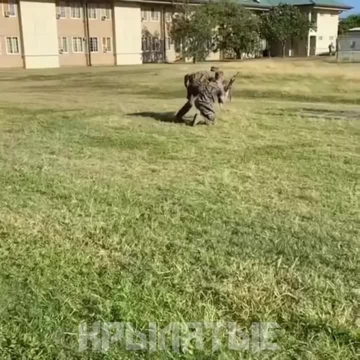 ������ �������: ��� ���-�� �������������� - ������ �������..