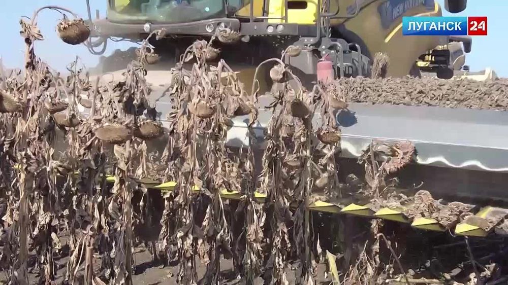 � ������������� ���� �������������� �����-��������������������� ������