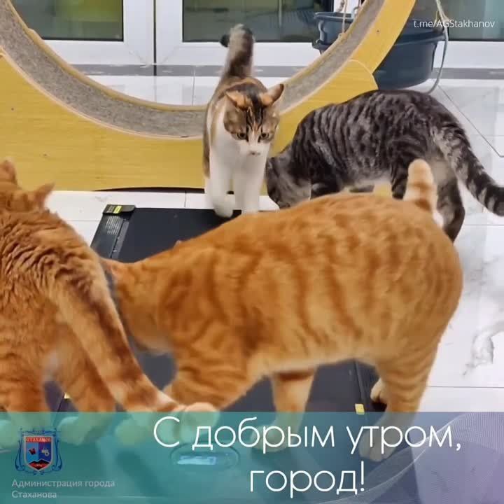 ������ ����, ������������. ������ ���� ���� � �������������� ���������� ������ ���� �������������� ��� � �� ������� ���������� � ����� ���� ����� �������! #�������� #�������_��������� #������������������� @AGStakhanov