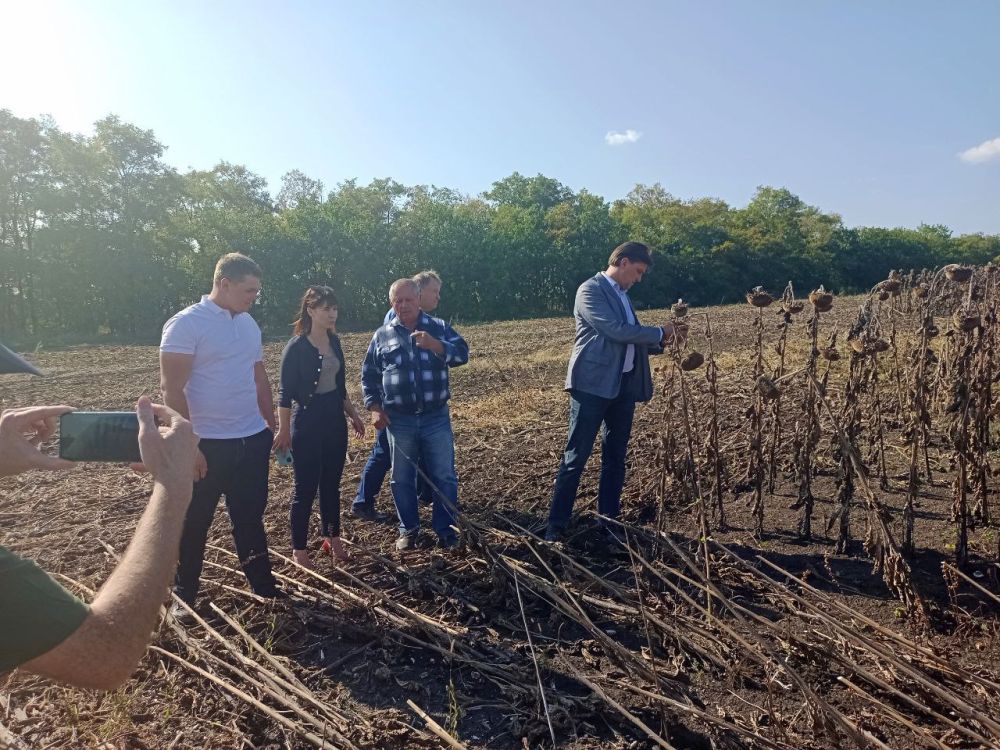 �������������������� ���������� �������� ���� ������ �������������, �������� � ������������ ��������� ��������� � �������������� ���