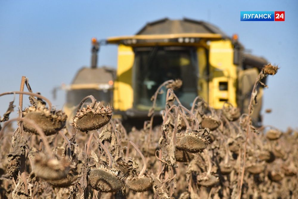 ������� �������������� ������ ������� �������� ��������� �������� ��� ��������� �����������