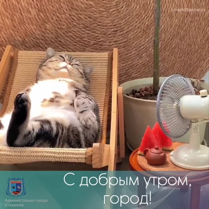 � ������ �����, ��������. ������ ���� ������� �������� ��� �������, �������� ��� ��������� � �������� ��������! #�������� #�������_��������� #������������������� @AGStakhanov