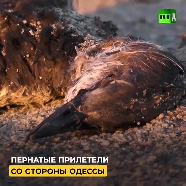��� ������� ���� ������������� ����������������� �������. �� ������ ��������� ���, ��� ���������� ������� ����� ����� �� ��� ���� ���������